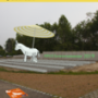 asinus_ss19_cover.png